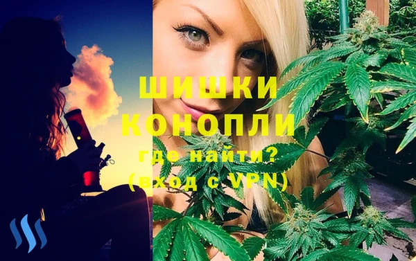 мет Дмитриев